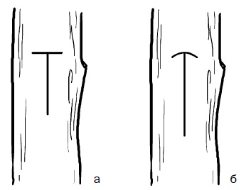 Иллюстрация к книге — Прививка плодовых деревьев: распространенные ошибки и секреты успешной прививки [i_028.jpg]