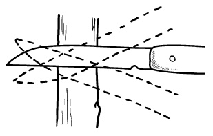 Иллюстрация к книге — Прививка плодовых деревьев: распространенные ошибки и секреты успешной прививки [i_030.jpg]