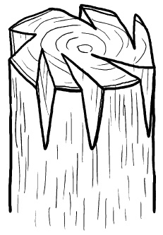 Иллюстрация к книге — Прививка плодовых деревьев: распространенные ошибки и секреты успешной прививки [i_059.jpg]