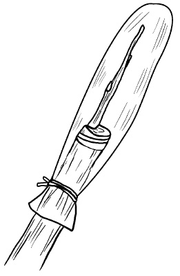 Иллюстрация к книге — Прививка плодовых деревьев: распространенные ошибки и секреты успешной прививки [i_091.jpg]