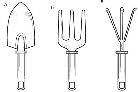 Иллюстрация к книге — Комнатные деревья и кустарники: лимон, вишня, гранат, можжевельник, акация, жасмин и многие другие [i_038.jpg]