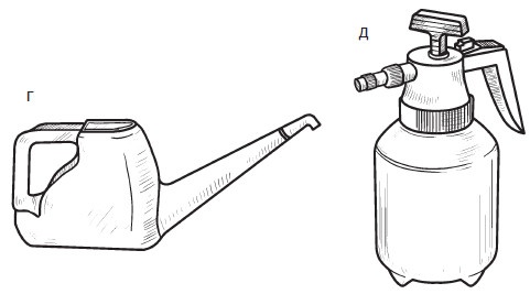 Иллюстрация к книге — Комнатные деревья и кустарники: лимон, вишня, гранат, можжевельник, акация, жасмин и многие другие [i_039.jpg]