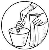 Иллюстрация к книге — Комнатные деревья и кустарники: лимон, вишня, гранат, можжевельник, акация, жасмин и многие другие [i_058.jpg]