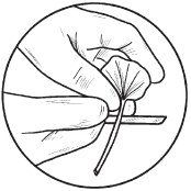 Иллюстрация к книге — Комнатные деревья и кустарники: лимон, вишня, гранат, можжевельник, акация, жасмин и многие другие [i_071.jpg]