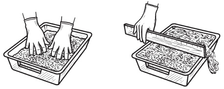 Иллюстрация к книге — Комнатные деревья и кустарники: лимон, вишня, гранат, можжевельник, акация, жасмин и многие другие [i_105.jpg]