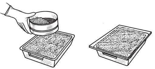 Иллюстрация к книге — Комнатные деревья и кустарники: лимон, вишня, гранат, можжевельник, акация, жасмин и многие другие [i_107.jpg]