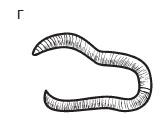 Иллюстрация к книге — Комнатные деревья и кустарники: лимон, вишня, гранат, можжевельник, акация, жасмин и многие другие [i_118.jpg]