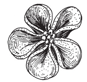 Иллюстрация к книге — Домашние тапочки ручной работы [i_047.jpg]