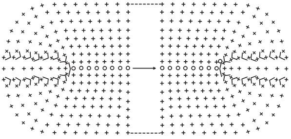 Иллюстрация к книге — Домашние тапочки ручной работы [i_148.jpg]