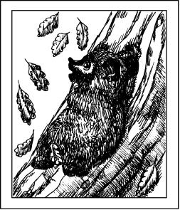 Иллюстрация к книге — Выжигание по дереву [_07.jpg]