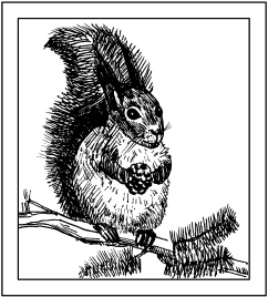 Иллюстрация к книге — Выжигание по дереву [_08.jpg]