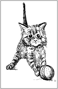 Иллюстрация к книге — Выжигание по дереву [_10.jpg]