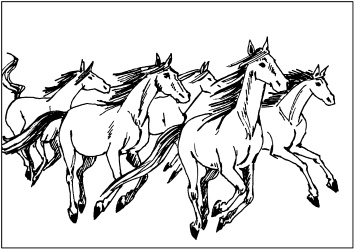 Иллюстрация к книге — Выжигание по дереву [_39.jpg]