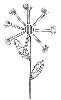 Иллюстрация к книге — Удивительные поделки из спичек [i_045.jpg]