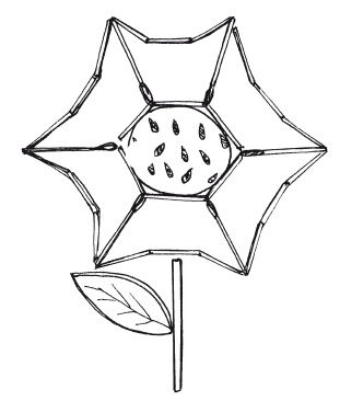 Иллюстрация к книге — Удивительные поделки из спичек [i_046.jpg]