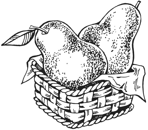 Иллюстрация к книге — Поделки из папье-маше [i_034.jpg]