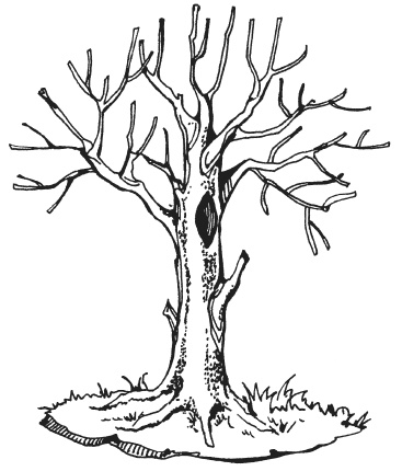 Иллюстрация к книге — Поделки из папье-маше [i_040.jpg]