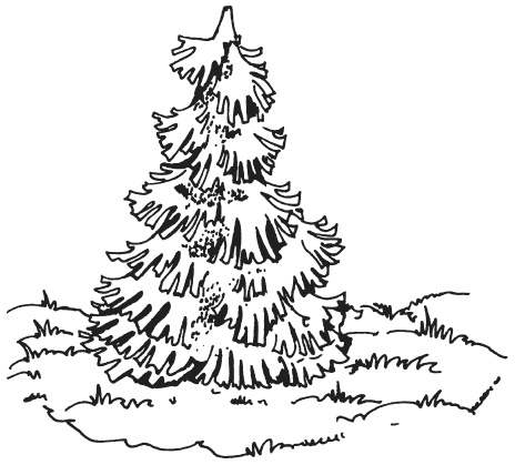 Иллюстрация к книге — Поделки из папье-маше [i_042.jpg]