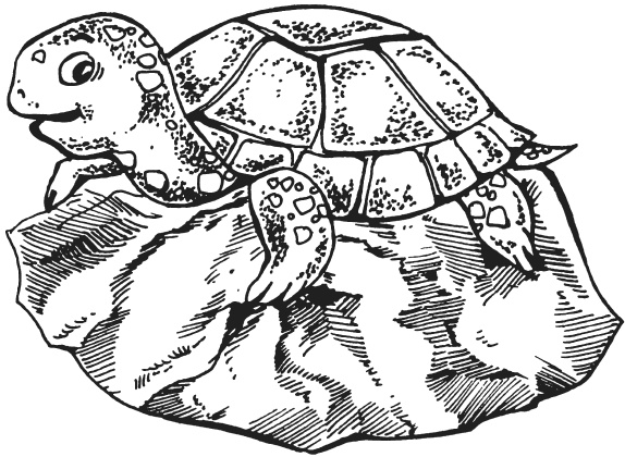 Иллюстрация к книге — Поделки из папье-маше [i_050.jpg]