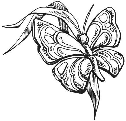 Иллюстрация к книге — Поделки из папье-маше [i_057.jpg]