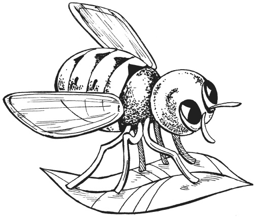 Иллюстрация к книге — Поделки из папье-маше [i_060.jpg]