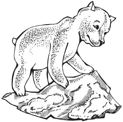 Иллюстрация к книге — Поделки из папье-маше [i_066.jpg]