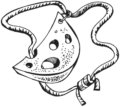 Иллюстрация к книге — Поделки из папье-маше [i_121.jpg]