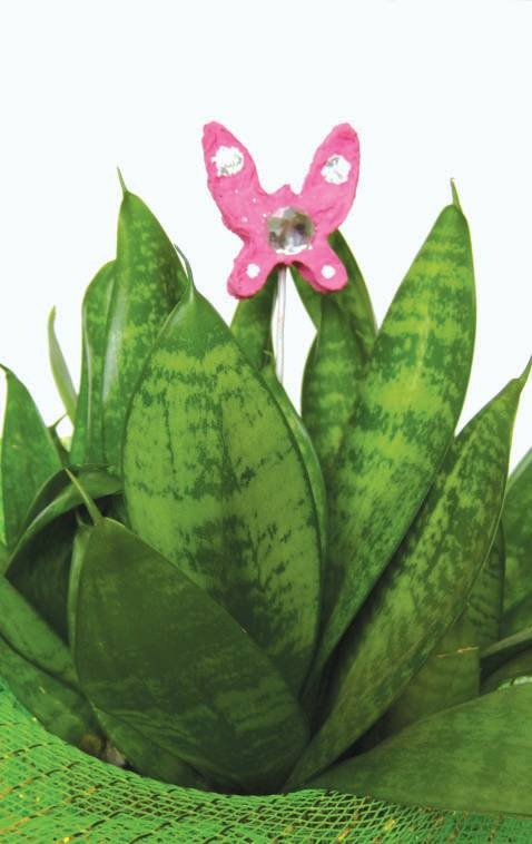 Иллюстрация к книге — Поделки из папье-маше [i_129.jpg]