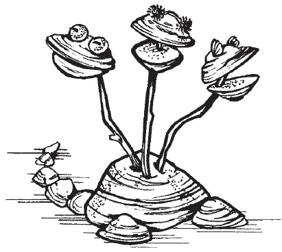 Иллюстрация к книге — Поделки для мальчиков [i_127.jpg]