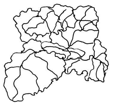 Иллюстрация к книге — Овощи и зелень. Огород на моем подоконнике [i_020.jpg]