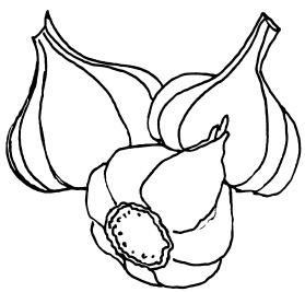 Иллюстрация к книге — Овощи и зелень. Огород на моем подоконнике [i_030.jpg]