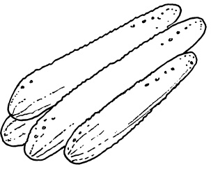 Иллюстрация к книге — Овощи и зелень. Огород на моем подоконнике [i_035.jpg]