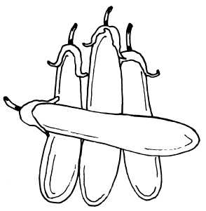 Иллюстрация к книге — Овощи и зелень. Огород на моем подоконнике [i_047.jpg]