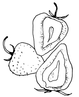 Иллюстрация к книге — Овощи и зелень. Огород на моем подоконнике [i_055.jpg]