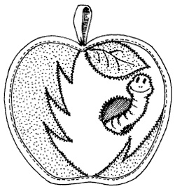 Иллюстрация к книге — Лоскутное шитье и аппликация [i_045.jpg]