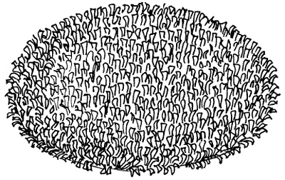 Иллюстрация к книге — Лоскутное шитье и аппликация [i_066.jpg]