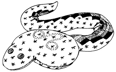 Иллюстрация к книге — Лоскутное шитье и аппликация [i_092.jpg]