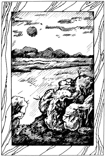 Иллюстрация к книге — Бисер. Энциклопедия вышивки [i_088.jpg]