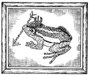 Иллюстрация к книге — Бисер. Энциклопедия вышивки [i_095.jpg]