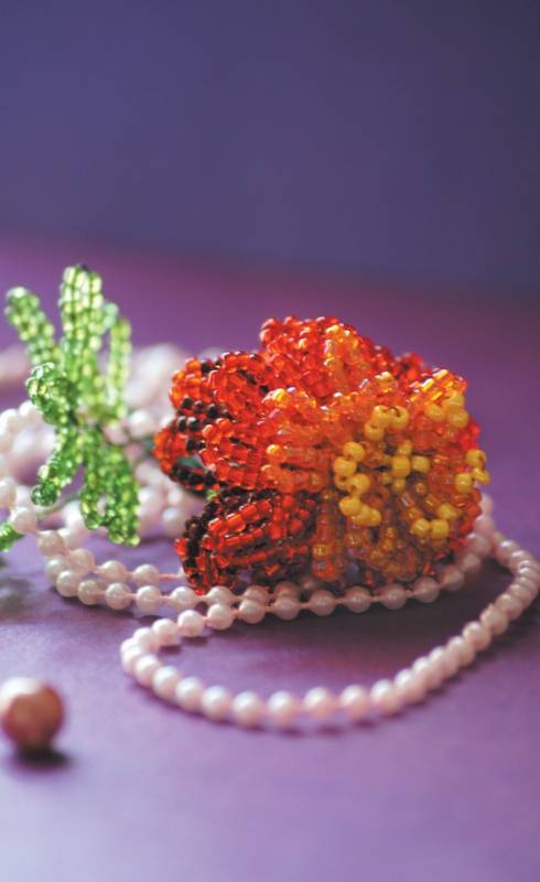 Иллюстрация к книге — Бисер. Энциклопедия вышивки [i_114.jpg]