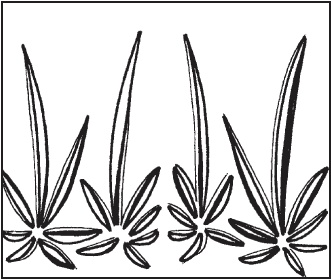 Иллюстрация к книге — Витражи своими руками [i_037.jpg]