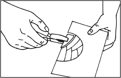 Иллюстрация к книге — Витражи своими руками [i_051.jpg]