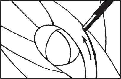 Иллюстрация к книге — Витражи своими руками [i_073.jpg]