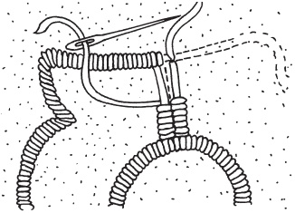 Иллюстрация к книге — Вышивка ришелье [i_014.jpg]