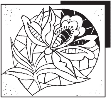 Иллюстрация к книге — Вышивка ришелье [i_044.jpg]