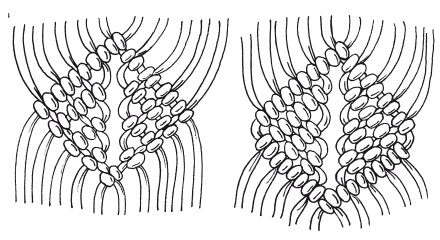 Иллюстрация к книге — Макраме для начинающих. Лучшие и оригинальные модели [i_055.jpg]