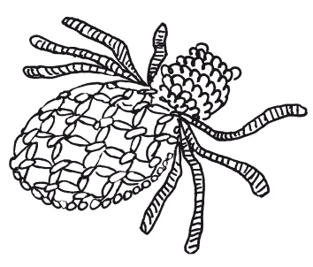 Иллюстрация к книге — Макраме для начинающих. Лучшие и оригинальные модели [i_123.jpg]