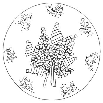 Иллюстрация к книге — Оригинальные подарки своими руками [i_029.jpg]