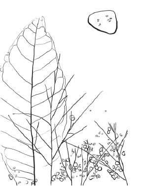 Иллюстрация к книге — Оригинальные подарки своими руками [i_056.jpg]