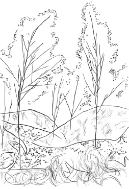 Иллюстрация к книге — Оригинальные подарки своими руками [i_057.jpg]